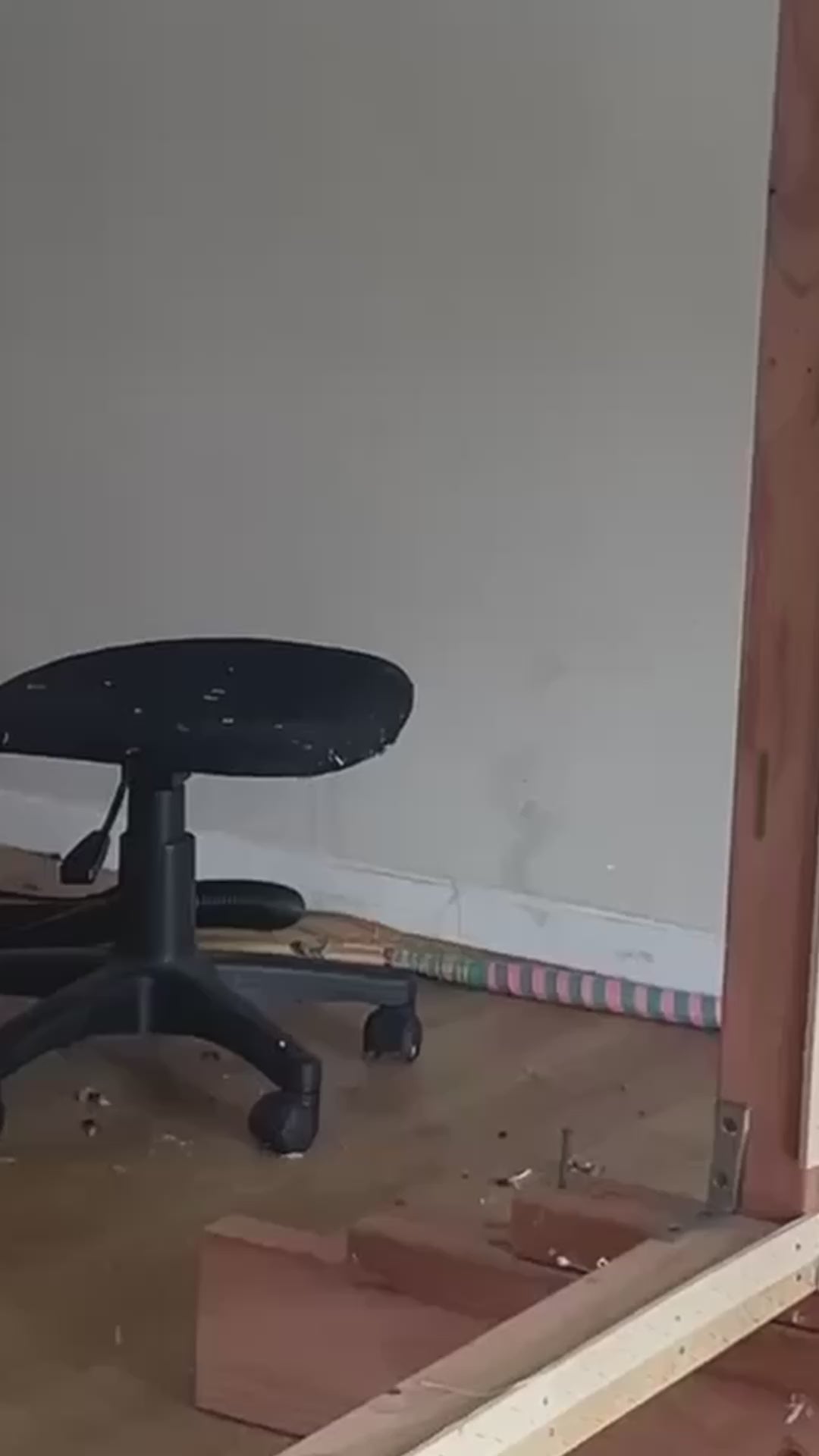 Juicy rug